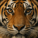 seller_logo